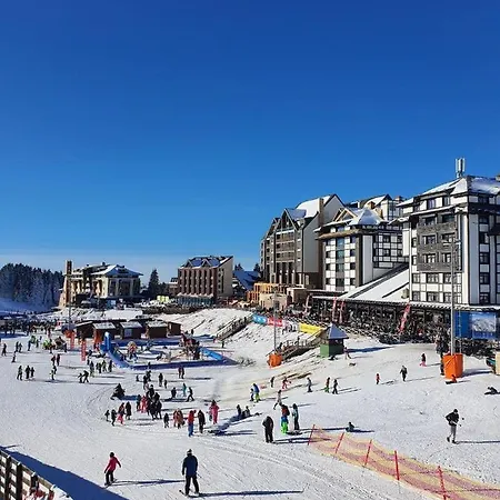 Apartment Woodside 218 Kopaonik