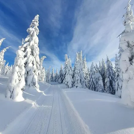 Apartment Woodside 218 *