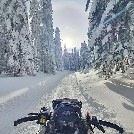 شقة Woodside 218 *